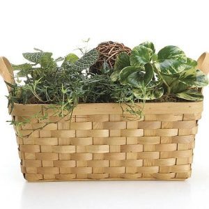 Baskets With Handles |   6" Rectangle Wood Chip Basket