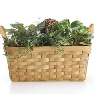 Baskets With Handles |   6" Rectangle Wood Chip Basket Case