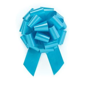 Bows |   #9 Turquoise Bow