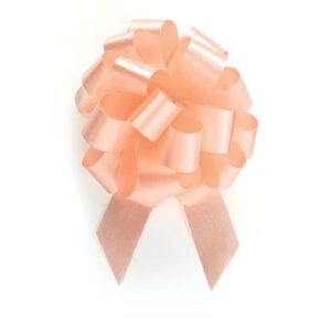 Bows |   Peach Pull Bow #5