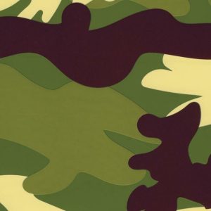 Cello Sheets |   Camouflage Print Cello Sheets