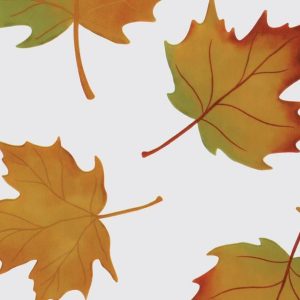 Cello Sheets |   Fall Leaf Cellophane Sheets