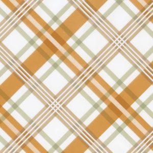 Cello Sheets |   Fall Plaid On White Cellophane