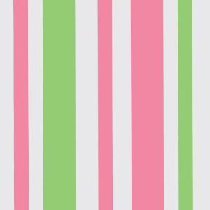 Cello Sheets |   Fuchsia/Lime Green Stripe Cellophane