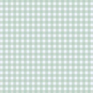 Cello Sheets |   Mint Green Gingham Cellophane Sheets