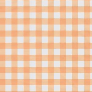 Cello Sheets |   Peach Gingham Cellophane Sheets