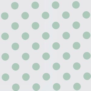 Cello Sheets |   Sage Green Dots On Clear Cello Sheets