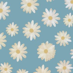 Cello Sheets |   White Daisy On Blue Cello Sheets