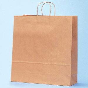 Gift Boxes & Bags |   19 1/4"H Shop Tote