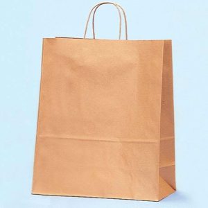 Gift Boxes & Bags |   15 3/4" Shop Tote