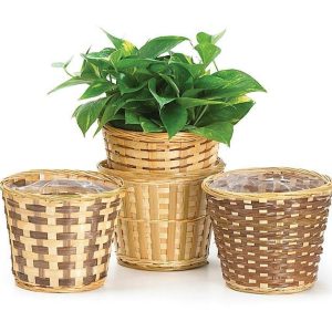 Pot Covers |   6" Case Bamboo Basket Pot Cover