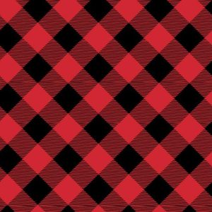 Tissue Sheets |   20X30 Buffalo Plaid Tissue Paper