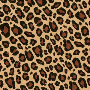 Tissue Sheets |   20X30 Tissue Leopard